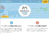 『職人とテクノロジーの融合』をテーマとする同社が開発した純国産マーケティングツール『MIERUCA』。大手企業への導入も進む。