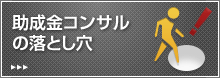 助成金コンサルの落とし穴