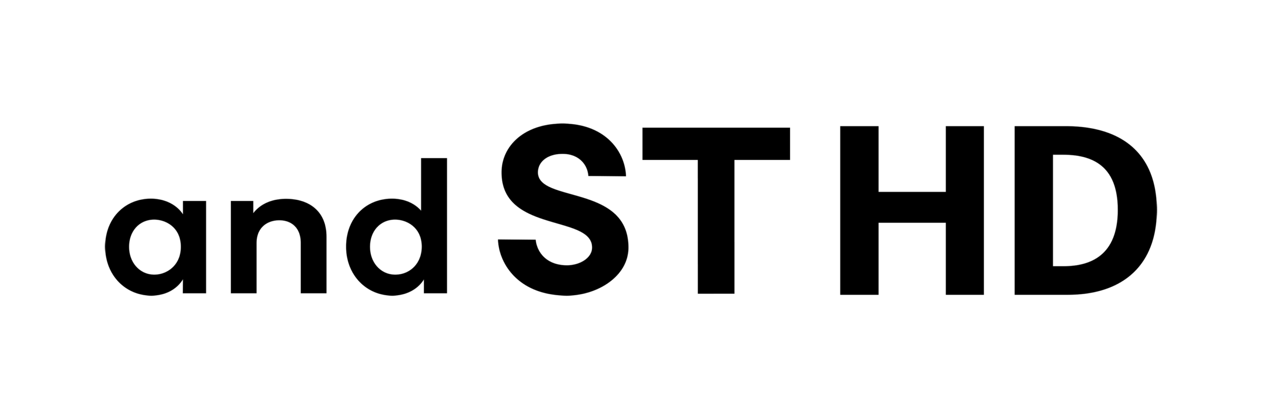 株式会社アンドエスティHD